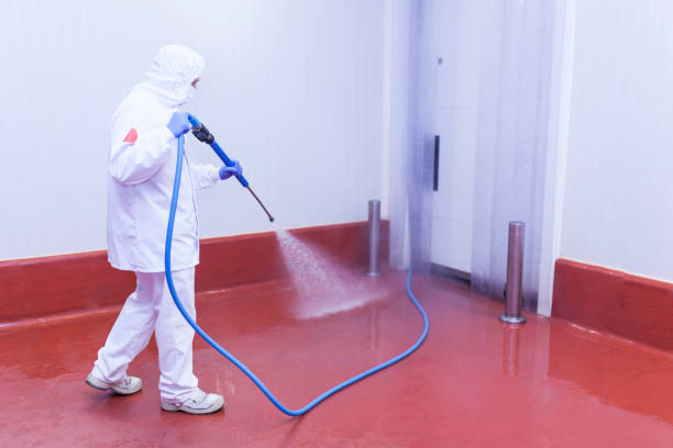 Best Warehouse Cleaning  in Pine Island, TX