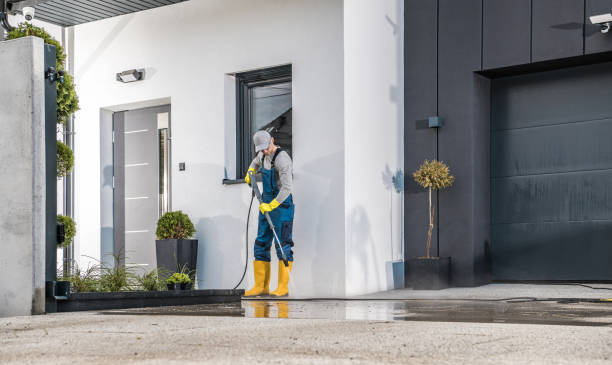 Best Driveway Pressure Washing  in Pine Island, TX